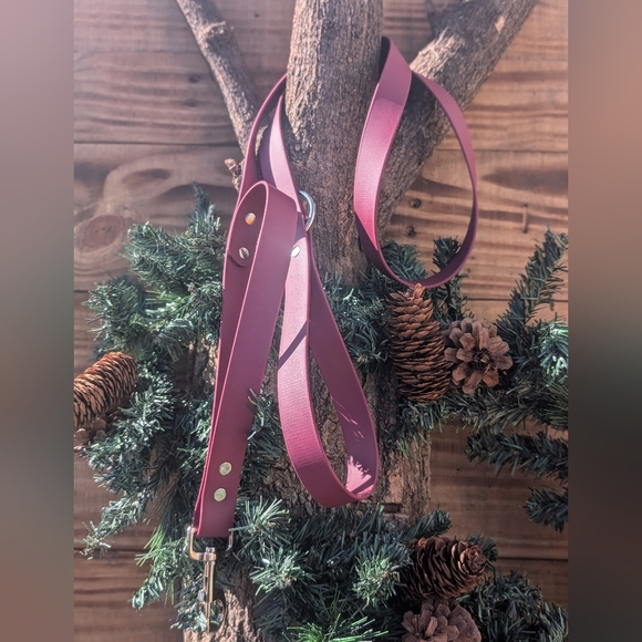 Biothane Leash - Picture 1 of 1